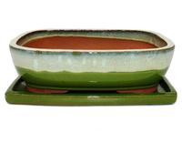 pot à bonsaï avec soucoupe, taille 6 - vert et beige - rectangulaire - modèle gb5 - longueur 37 cm - largeur 28 cm - hauteur 10 cm