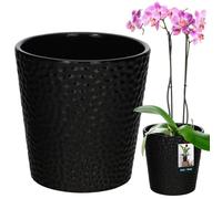 Pot à orchidée - KOTARBAU - Pot rond - Céramique émaillée - Noir - Ø 9,5 x H 11 cm