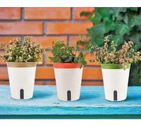 Pot à plantes auto-arrosant 14,5 cm - Pots à fleurs de jardin Bonsaï - indicateur de niveau d'eau, trou d'évacuation - 3 pièces