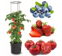 Pot À Tomates 28 L Avec Support Pour Branches, Planteur À Plantes, Pour Légumes, Jardinière Aux Fraises Et Concombres Multicolore