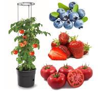 Pot à tomates 28 L avec support pour branches, planteur à plantes, pour légumes, jardinière aux fraises et concombres