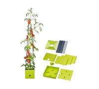 Pot avec tuteur pour plant de tomates avec réservoir 2,5 L - Royal Gardineer