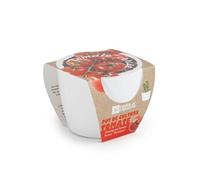 Pot blanc 8 cm Tomates Cerise bio