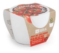 Pot blanc 8 cm Tomates Cerise bio G