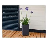 Pot De Fleur Carre Haut Basalt Up Gris 36 Litres - Eda