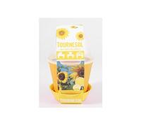 Pot Cloche Tournesol