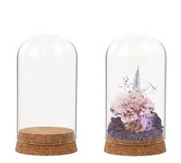 Pot de cloche en verre, boîte d'exposition, dôme avec Base liège for présenter des Mini coquillages fleurs, cadeaux fête, rangement idéal for décoration maison, 4 pièces Pour Présentation(7x10cm)