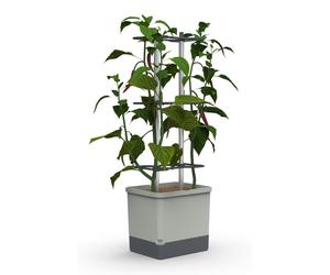 Pot de culture Chilitopf Gusta Garden Charly Chili XL, en plastique, de couleur gris clair, dimensions 35 x 35 x 106 cm, comprenant un système d'arrosage intégré et un espace de rangement