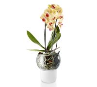 Pot de fleur auto arrosant 15 cm, pour orchidées, verre, Eva Solo