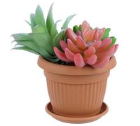 Pot De Fleur Avec Soucoupe Plastique Marron D 35 Cm Cache Pot Classique Jarnidniere Rond Bol Boite A Fleurs Plantes Multicolore