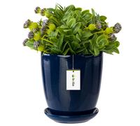 Pot de fleurs à fleurs avec soucoupe ronde 6 tailles et 12 couleurs céramique