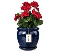 Pot de fleurs grenat cobalt pot de fleurs avec soucoupe rond DxH 280 mm x 305 mm surface brillante céramique glamour moderne