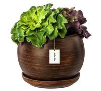 Pot De Fleur - Botle - Rond - Bois Sombre - Céramique - 140 Mm X 130 Mm Multicolore