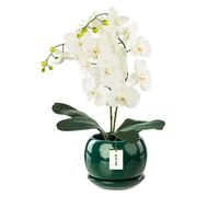 botle Pot de fleurs rond en céramique moderne glamour avec soucoupe Vert bouteille 170 mm x 160 mm