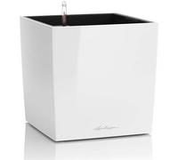 Lechuza - Bac à plantes fermé Cube Premium 50 - Blanc brillant - 50 x 50 x 50 cm