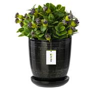 Pot de fleur Noir argent avec soucoupe Rond 240 mm x 260 mm Surface brillant