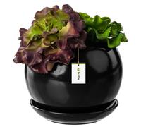 Pot de fleurs en céramique Boule à la main avec soucoupe 3 tailles 15 couleurs