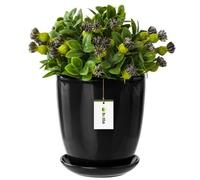 Pot De Fleur Noir Avec Soucoupe Rond Dimensions 240 Mm X 260 Mm Surface Brillant Céramique Glamour Moderne Multicolore