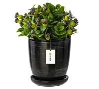 Pot de fleurs noir argenté bol de fleurs avec soucoupe surface ronde céramique brillante glamour moderne