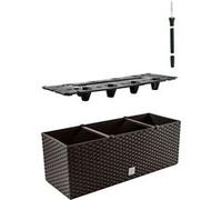 Pot de fleurs avec insert Prosperplast Rato DRTC500 440U umbra 17L G