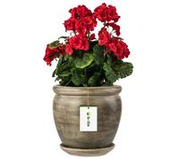 Pot de fleurs béton foncé pot de fleurs avec soucoupe rond DxH 280 mm x 305 mm surface céramique mat glamour moderne