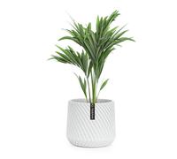 Fox & Fern Pot de fleurs Heusden
