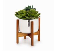 Fox & Fern Pot de fleurs Thorn avec support
