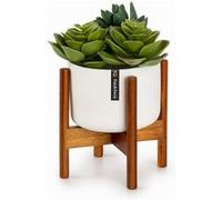 Fox & Fern Pot de fleurs Thorn avec support