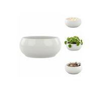 Pot De Fleurs - Botle - Céramique Blanche - Ø 25,5 Cm - Design Moderne - Polyvalent Multicolore