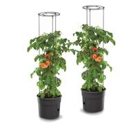 Pot De Fleurs - Botle - Lot De 3 - 28 L - Résistant Aux Intempéries - Avec Réserve D'eau Multicolore
