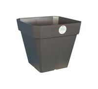 Pot à Soleilla Carré, 50cm Diamètre, Gris