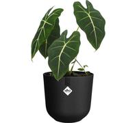 Pot de fleurs Elho Jazz Rond, Noir, Ø 26 x H 24 cm, Intérieur, 100% Recyclé