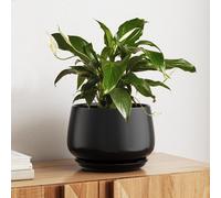 Pot de fleurs en céramique, 25 cm, noir, avec soucoupe et trou de drainage