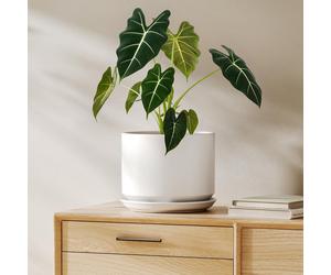 Pot de fleurs en céramique, blanc, avec soucoupe, diamètre 20 cm, hauteur 16 cm
