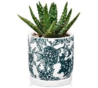 Pot de fleurs en céramique Unyqoos® avec trou de drainage et sous-coupe en céramique, glaçage craquelé avec motif floral, 14 × 12 cm, pour intérieur et extérieur