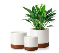 Pot de fleurs en faïence vancasso, lot de 3 pots cylindriques pour plantes succulentes et plantes vertes, forme ronde, finition sésame