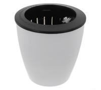 Pot de fleurs en plastique avec système d'hydratation auto-entretenue en coton et bassin d'eau séparé pour plantes vertes d'intérieur (M)