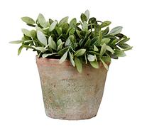 Pot De Fleurs En Terracotta Vieilli Rond 12 Cm De Haut
