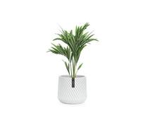 Pot de fleurs Fox & Fern Heusden fait à la main- en polystone - 20 cm - Blanc mat