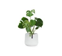 Pot de fleurs Fox & Fern Heusden fait à la main- en polystone - 25 cm - Gris
