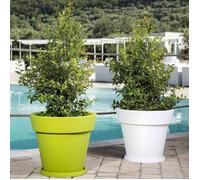 Pot de fleurs - Gemma - Anthracite - Ø 80 cm - 184 litres - Rond