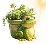 Pot de fleurs grenouille mignon peint à la main avec trou de drainage pour intérieur et extérieur, jardin, cour, balcon, terrasse, rebord de fenêtre, bureau, table, chambre à coucher, salon