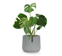 Pot de fleurs Heusden fait à la main, en polystone respectueux des plantes.