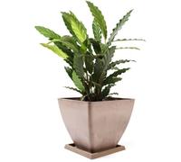 Pot de fleurs - KOTARBAU - 30 x 30 x 28 cm - Composite recy arré - Gris foncé