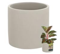 Pot de fleurs - KOTARBAU - Grand cylindre ethnique - Céramique - Diamètre 16 cm - Hauteur 15 cm