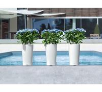 Pot de fleurs LECHUZA Cilindro Color 32, Ø 32 x 56 cm, 13 L, Kit complet, Blanc