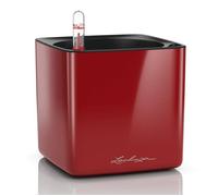 Pot de fleurs - LECHUZA - Cube Glossy 14 - Rouge scarlet ultra brillant - 14x14x14 cm - Avec réserve d'eau