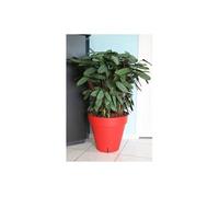 Pot de fleurs - RIVIERA - Loft avec réserve d'eau - Rond - Ø 49 x H 45 cm - 50L - Rouge