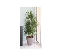 Pot de fleurs avec réserve d'eau - RIVIERA - Loft Rond - Ø 49 x H 45 cm -Taupe
