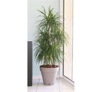 Pot de fleurs avec réserve d'eau - RIVIERA - Loft Rond - Ø 49 x H 45 cm -Taupe